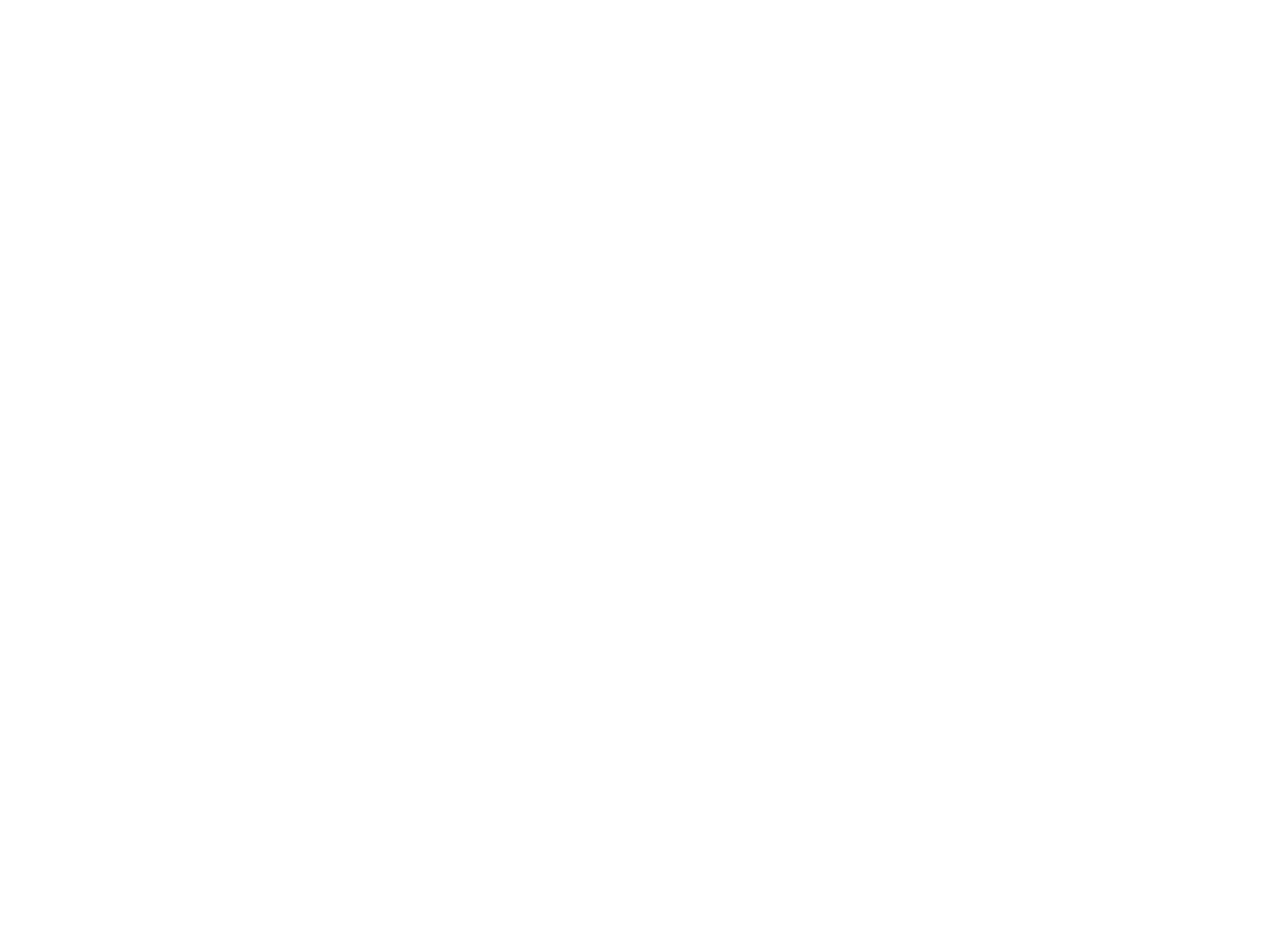 Nevonixa Logo